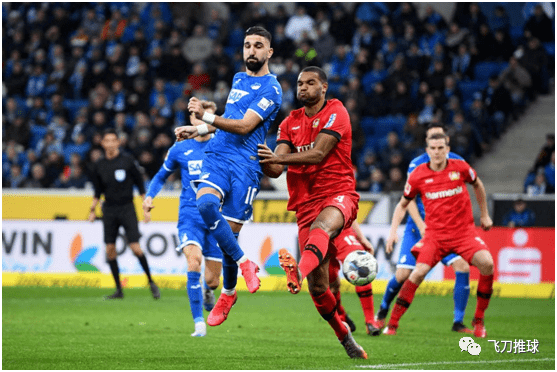 霍芬海姆主帅期待球队在下个赛季达成突破,士气大振的简单介绍 霍芬海姆主帅期待球队在下个赛季达成突破,士气大振的简单介绍