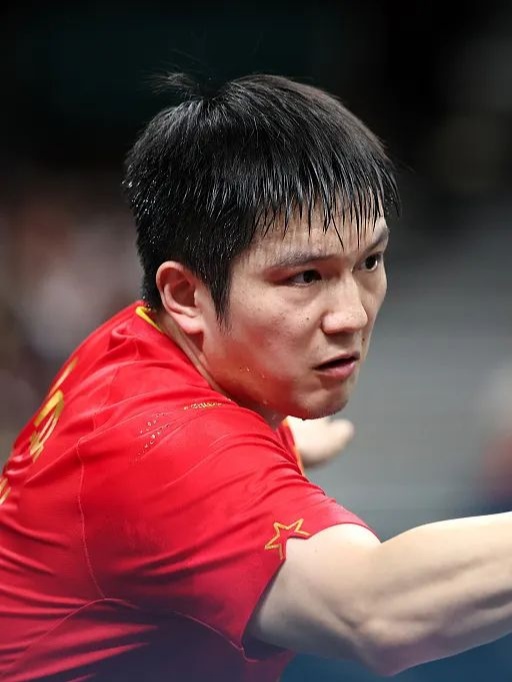 日本队翻盘中国队，樊振东高光表现的简单介绍