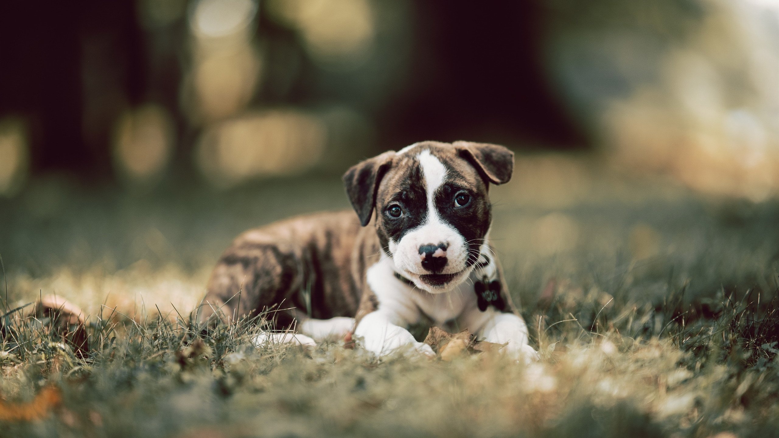 商业比赛成生死战?乔治绝杀背后,上海男篮露出了狰狞獠牙